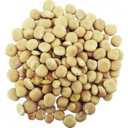 MÇY Acı Bakla (Lupinus sp.)