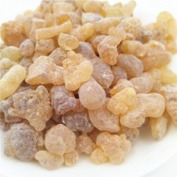 MÇY Buhur