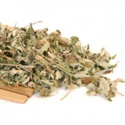 MÇY Böğürtlen yaprağı (Rubus frıticosus)