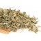 MÇY Böğürtlen yaprağı (Rubus frıticosus)