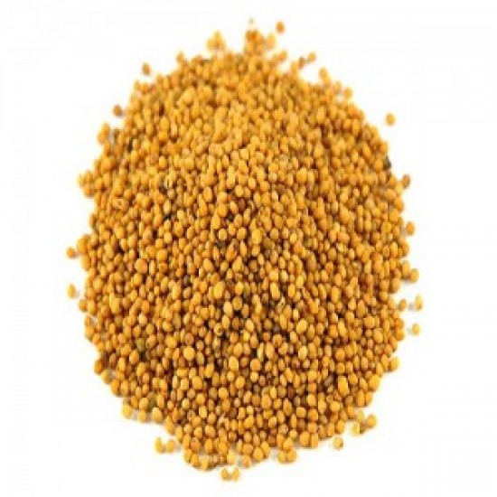 MÇY Hardal Tohumu (Sarı)