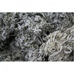 MÇY Adaçayı (Salvia officinalis) (Demet)