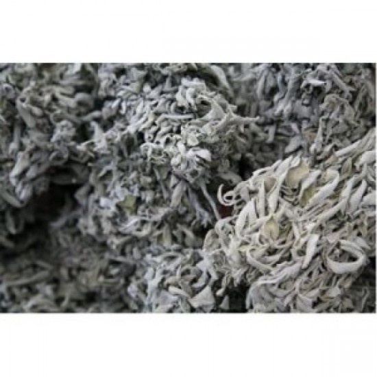 MÇY Adaçayı (Salvia officinalis) (Demet) MÇY Adaçayı (Salvia officinalis) (Demet)