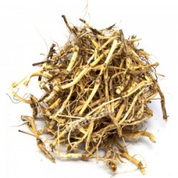 MÇY Ayrık Kökü (Agropyron repens)