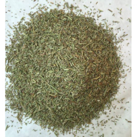 MÇY Biberiye (Rosmarinus officinalis) MÇY Biberiye (Rosmarinus officinalis)