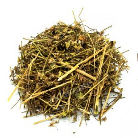 MÇY Çoban ÇantasıI (Capsella bursa pastoris)
