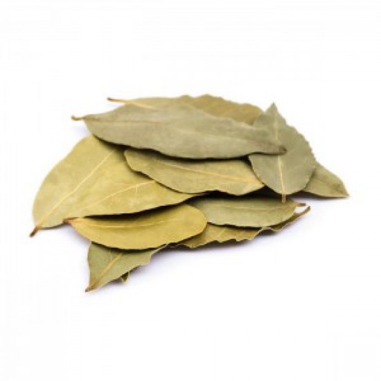 MÇY Defne Yaprağı (Laurus nobilis)