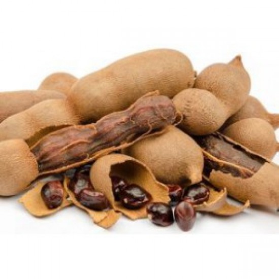 MÇY Demirhindi (Tamarindus indica) MÇY Demirhindi (Tamarindus indica)