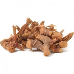 MÇY Havlıcan Kökü (Alpiniaofficinarum) 