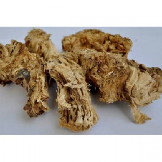 MÇY Çakşır Kökü (Ferula elaechytris)
